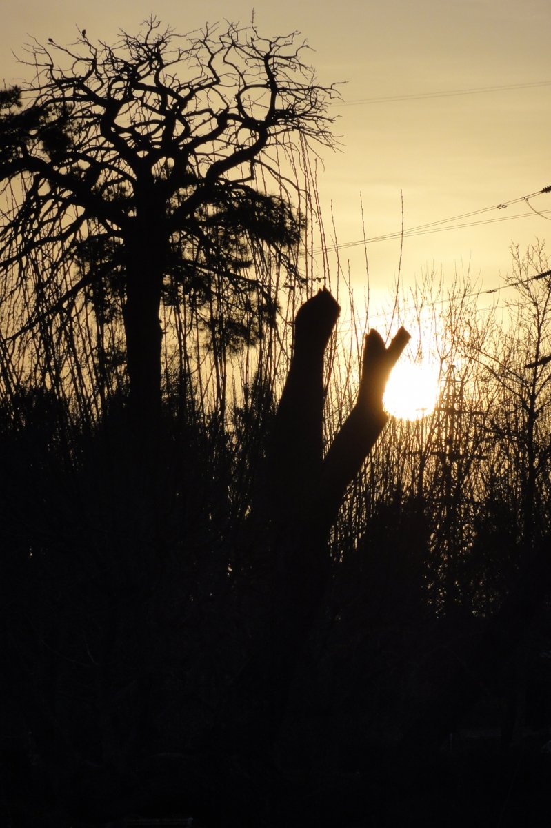 Sunset (11)